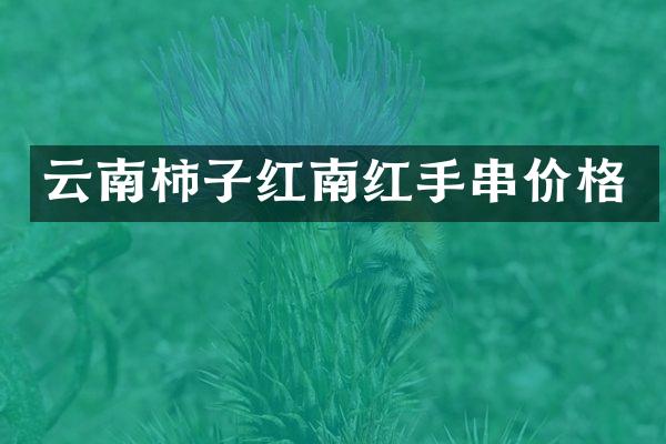 云南柿子红南红手串价格