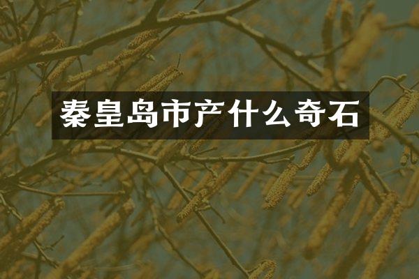 秦皇岛市产什么奇石