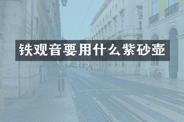 铁观音要用什么紫砂壶