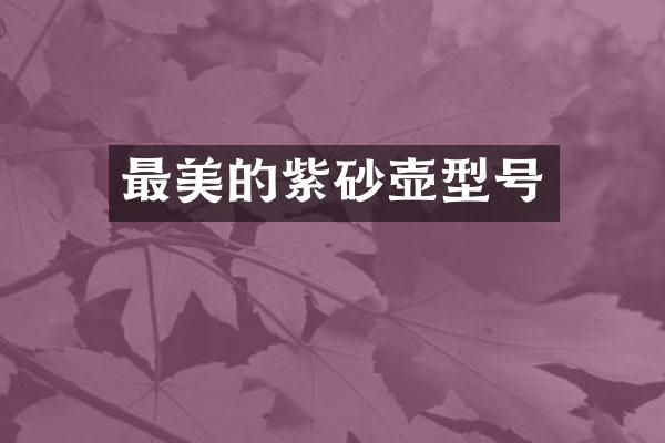 最美的紫砂壶型号