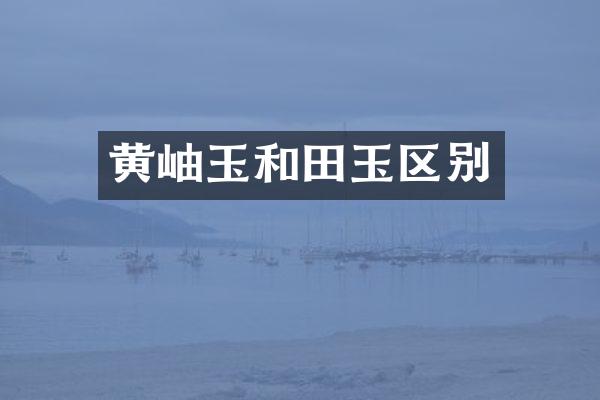黄岫玉和田玉区别