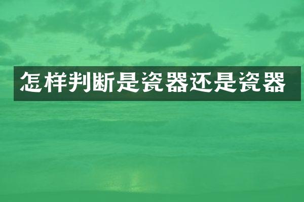 怎样判断是瓷器还是瓷器