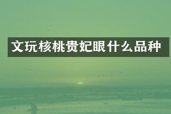 文玩核桃贵妃眼什么品种
