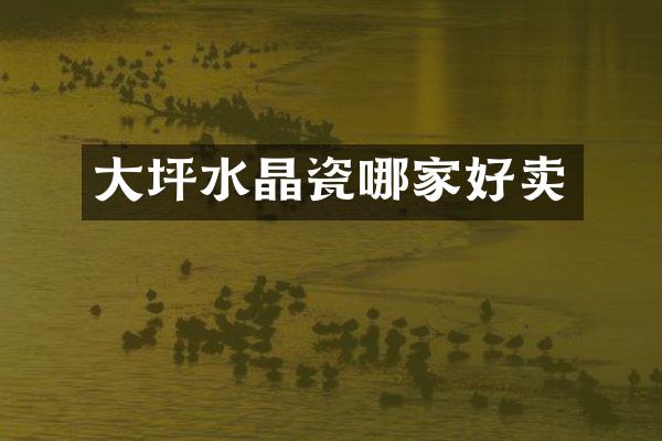 大坪水晶瓷哪家好卖