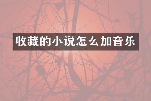 收藏的小说怎么加音乐