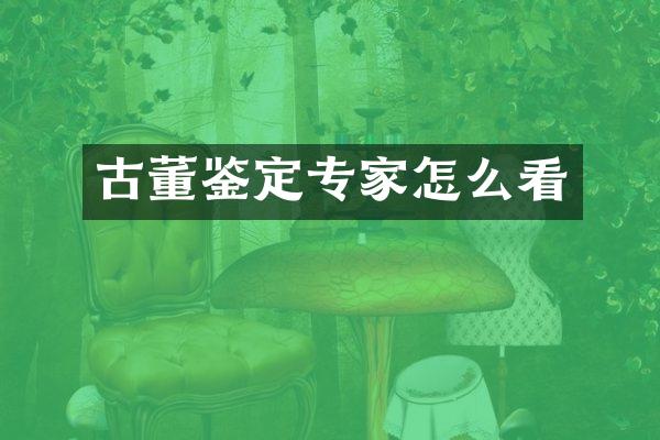 古董鉴定专家怎么看