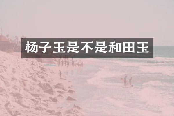 杨子玉是不是和田玉
