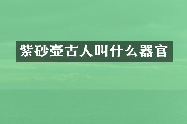 紫砂壶古人叫什么器官