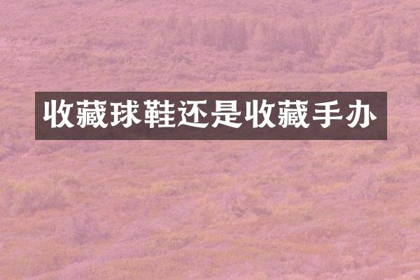 收藏球鞋还是收藏手办