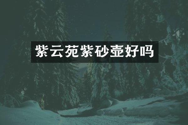 紫云苑紫砂壶好吗