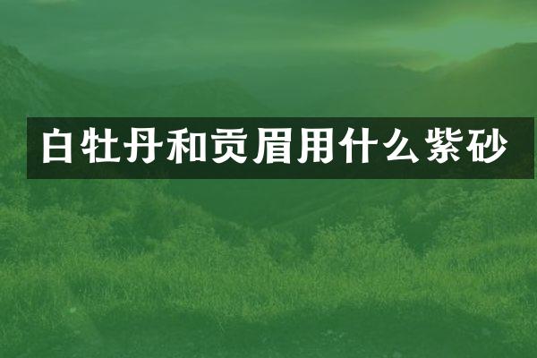 白牡丹和贡眉用什么紫砂