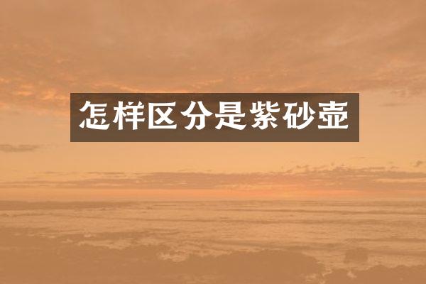 怎样区分是紫砂壶