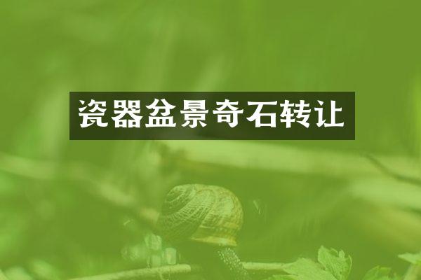 瓷器盆景奇石转让