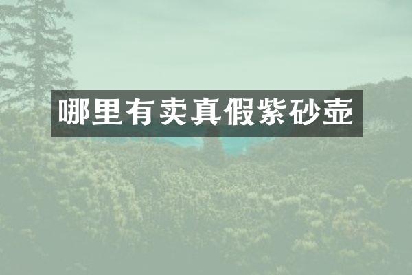 哪里有卖真假紫砂壶