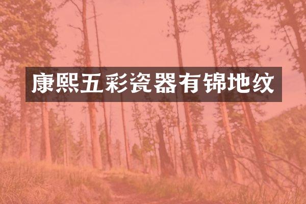 康熙五彩瓷器有锦地纹