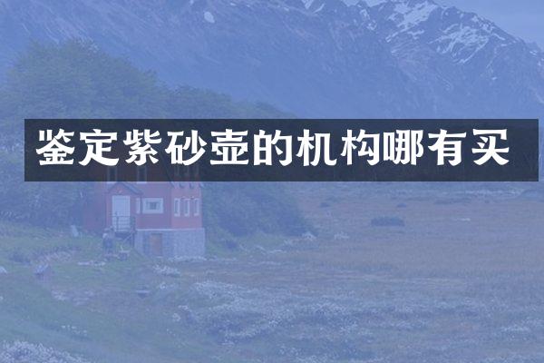 鉴定紫砂壶的机构哪有买