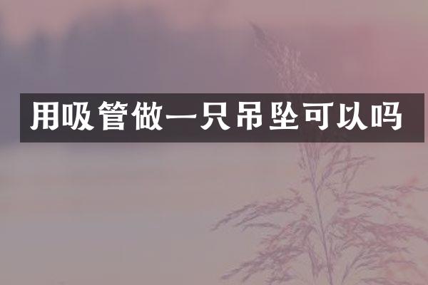 用吸管做一只吊坠可以吗