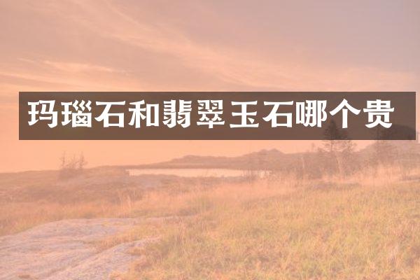 玛瑙石和翡翠玉石哪个贵