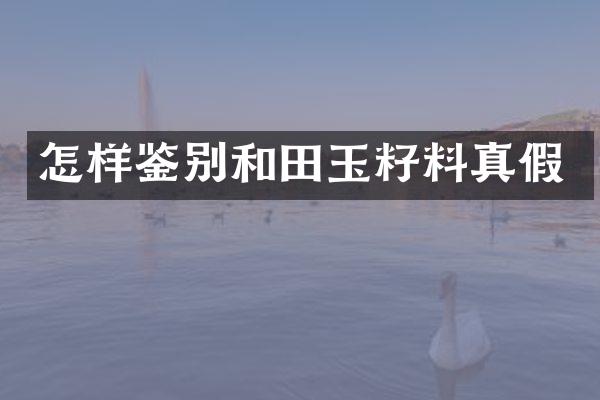 怎样鉴别和田玉籽料真假