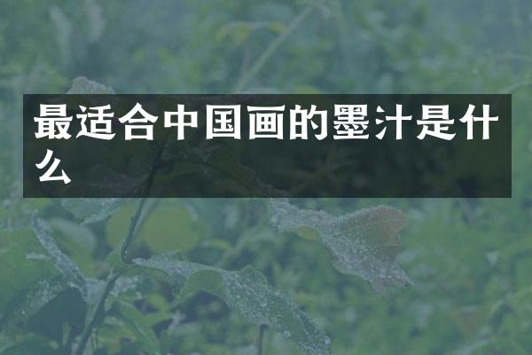 最适合中国画的墨汁是什么