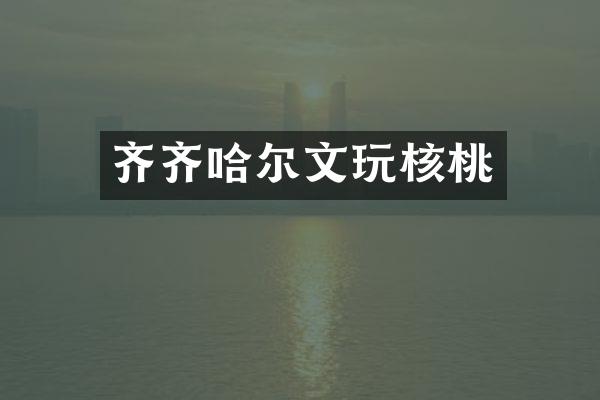 齐齐哈尔文玩核桃