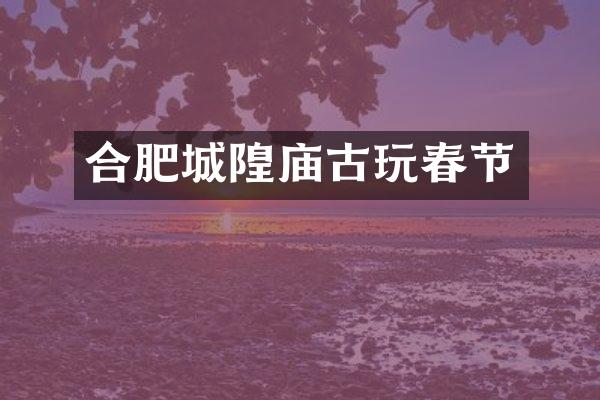 合肥城隍庙古玩春节