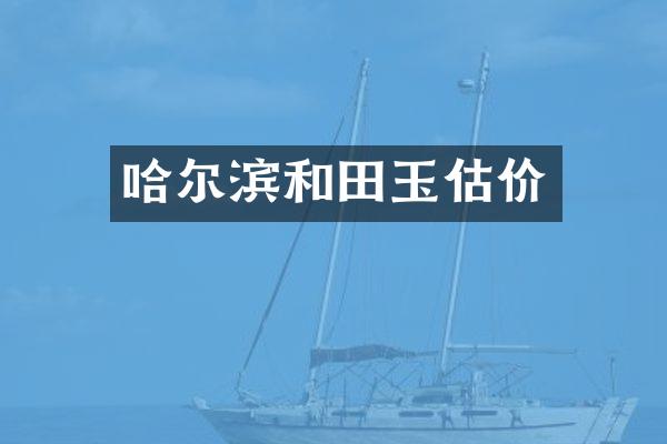 哈尔滨和田玉估价