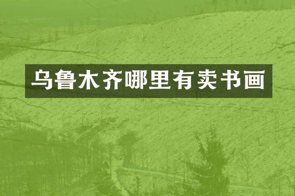 乌鲁木齐哪里有卖书画