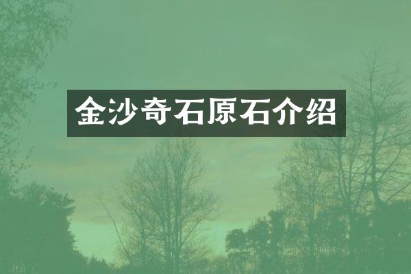 金沙奇石原石介绍