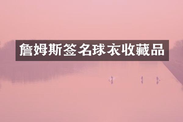 詹姆斯签名球衣收藏品