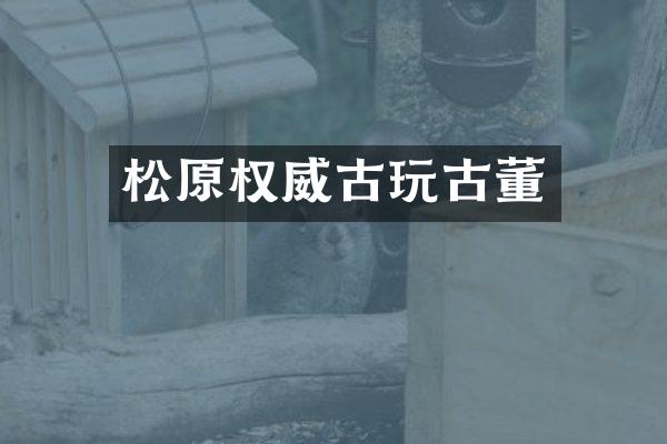 松原权威古玩古董