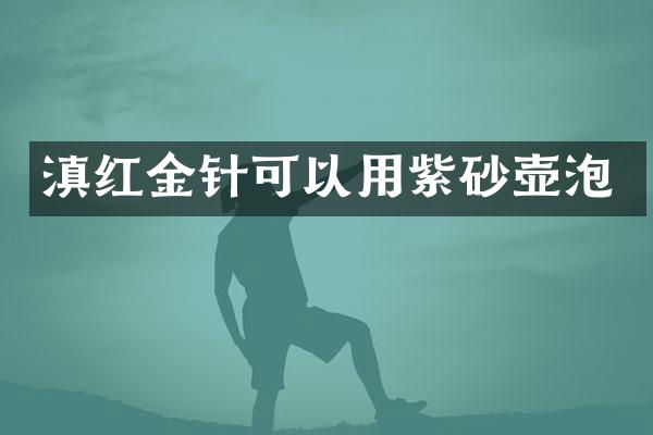 滇红金针可以用紫砂壶泡