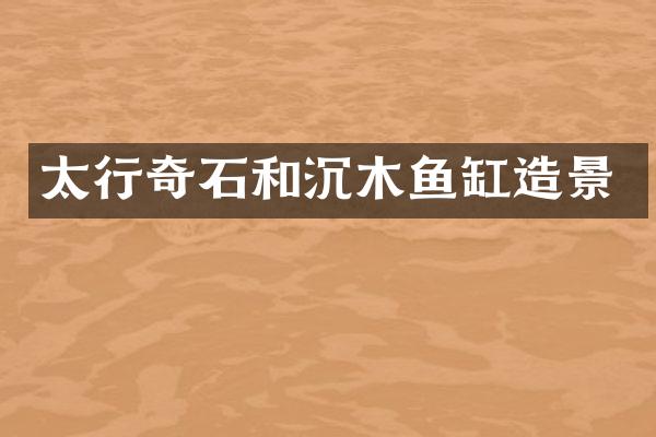 太行奇石和沉木鱼缸造景