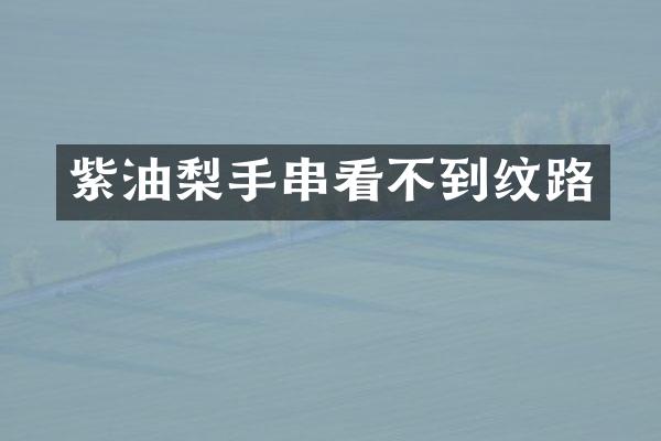紫油梨手串看不到纹路