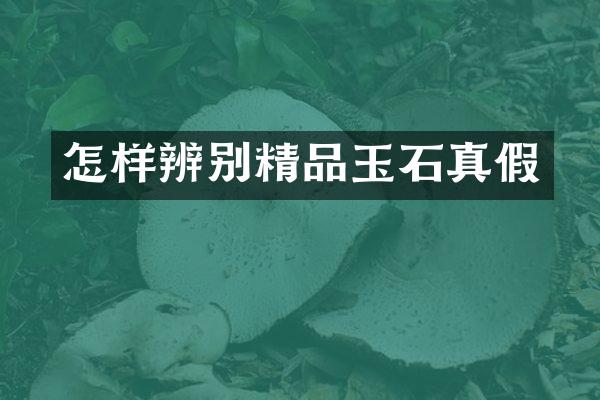 怎样辨别精品玉石真假