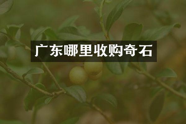 广东哪里收购奇石