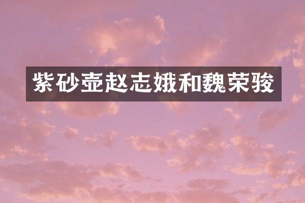 紫砂壶赵志娥和魏荣骏