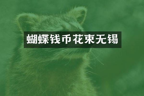 蝴蝶钱币花束无锡