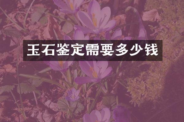 玉石鉴定需要多少钱