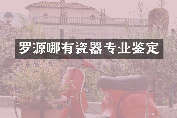 罗源哪有瓷器专业鉴定