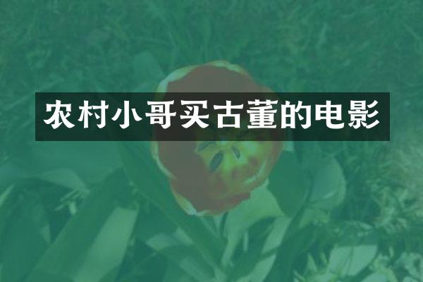 农村小哥买古董的电影