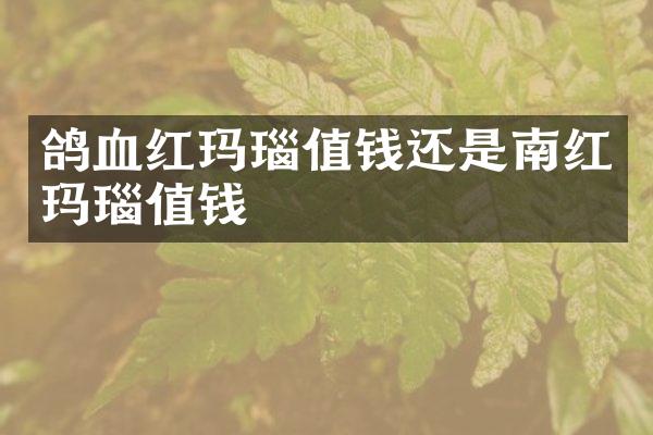 鸽血红玛瑙值钱还是南红玛瑙值钱
