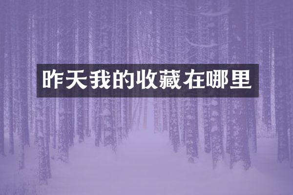 昨天我的收藏在哪里