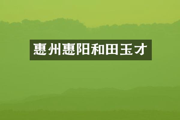 惠州惠阳和田玉才