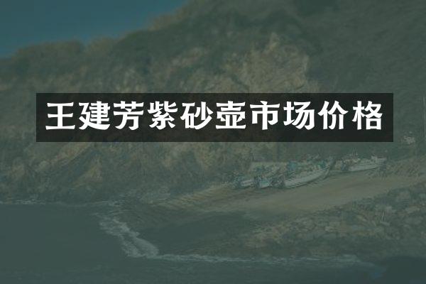 王建芳紫砂壶市场价格