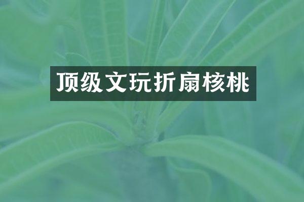 顶级文玩折扇核桃