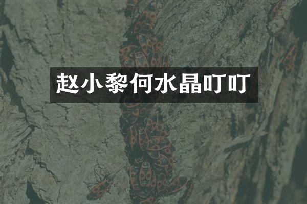 赵小黎何水晶叮叮