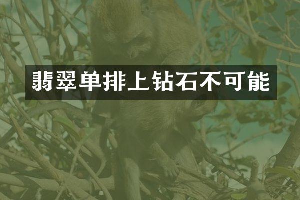 翡翠单排上钻石不可能