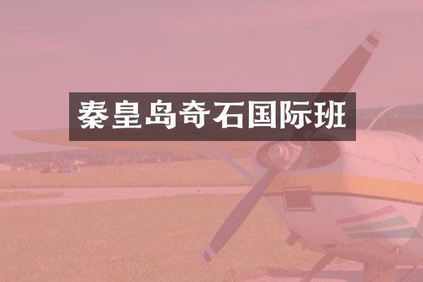 秦皇岛奇石国际班