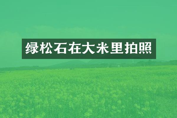 绿松石在大米里拍照